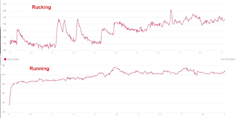 heartrates.png