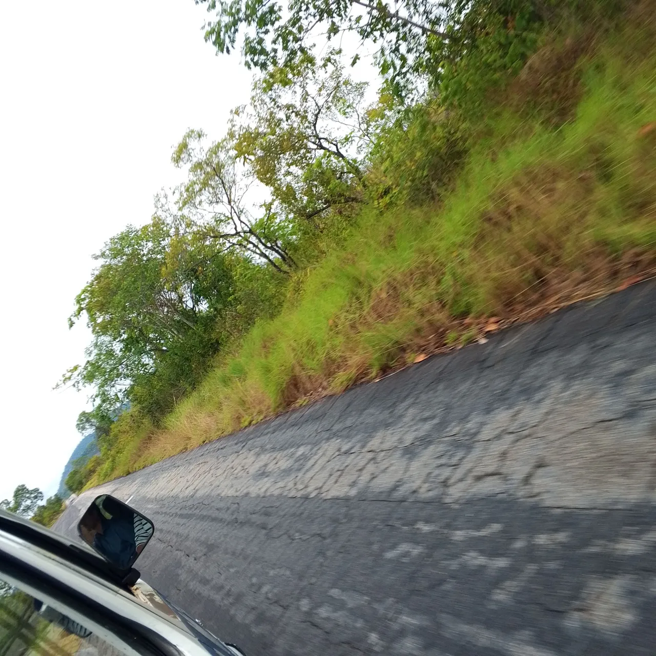 IMG_20250405_124457_499.jpg