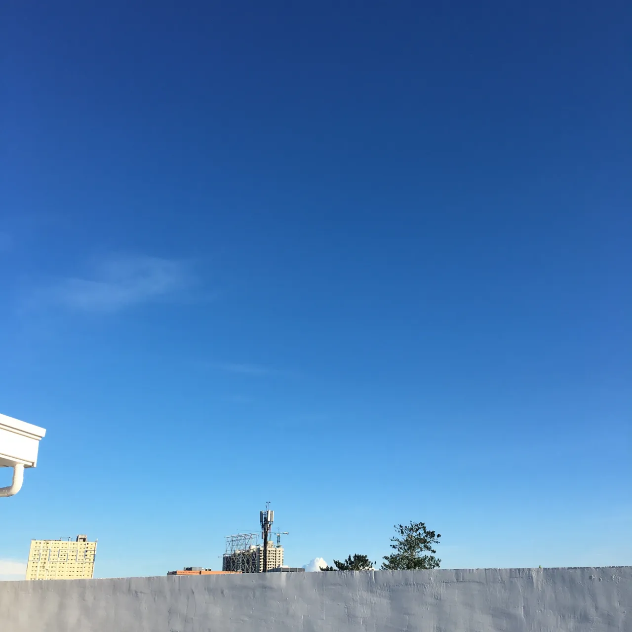 1C431808-931E-48C9-9C57-9A6F0EF1FB1A.jpeg