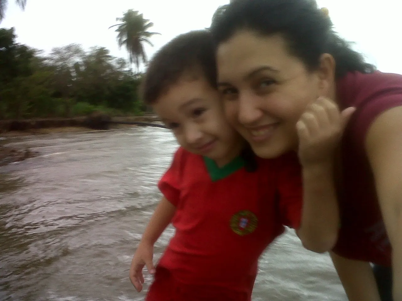 IMG01210-20111222-1654.jpg