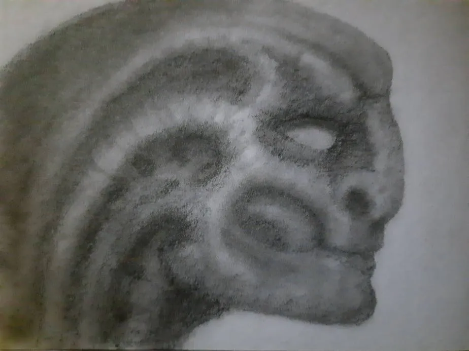 20241216_114822.jpg