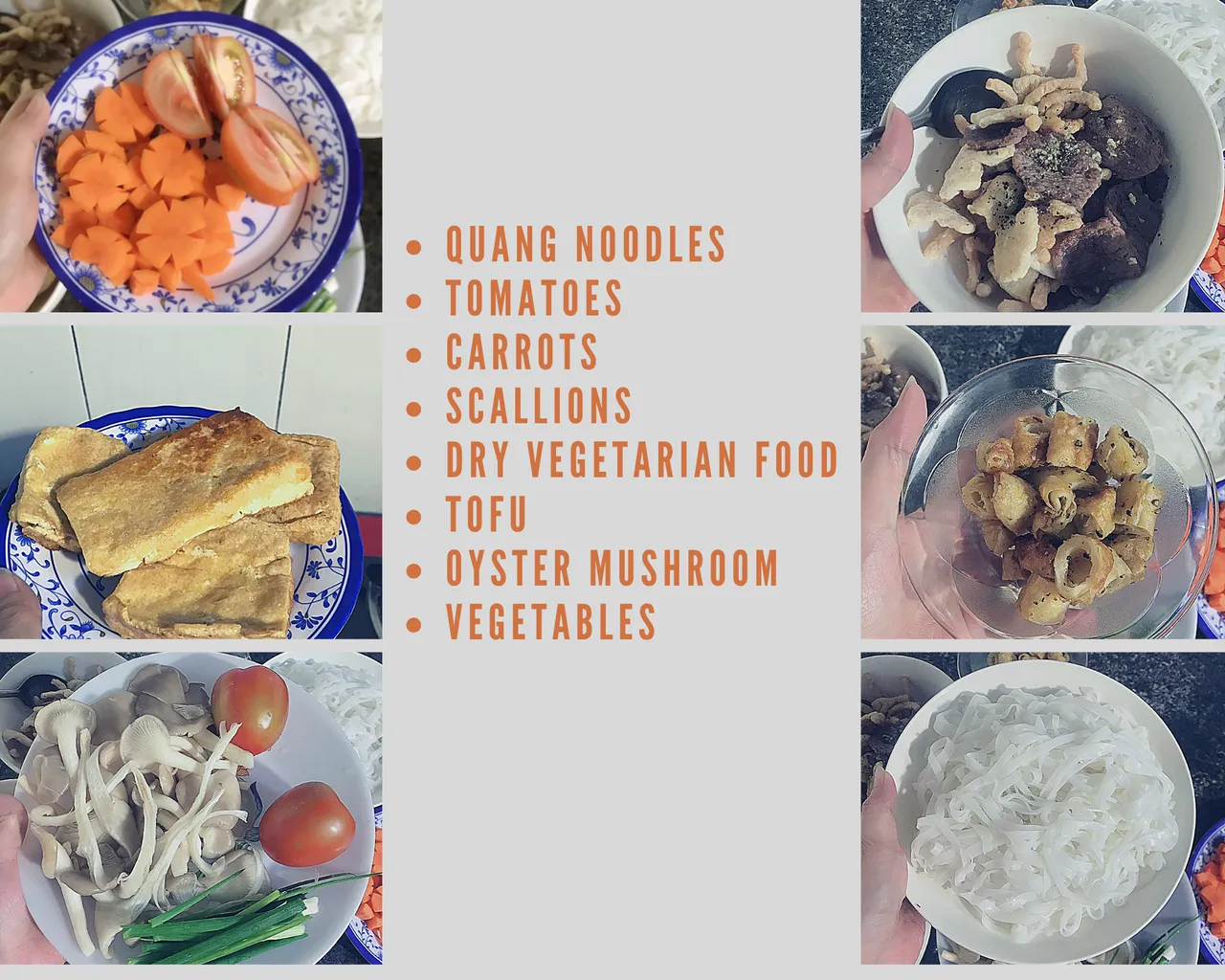Quang noodles 4j.png