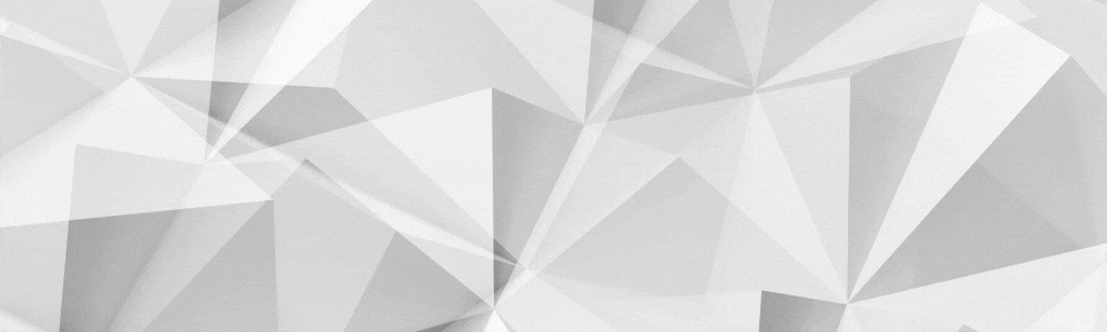 SMC Cover.gif