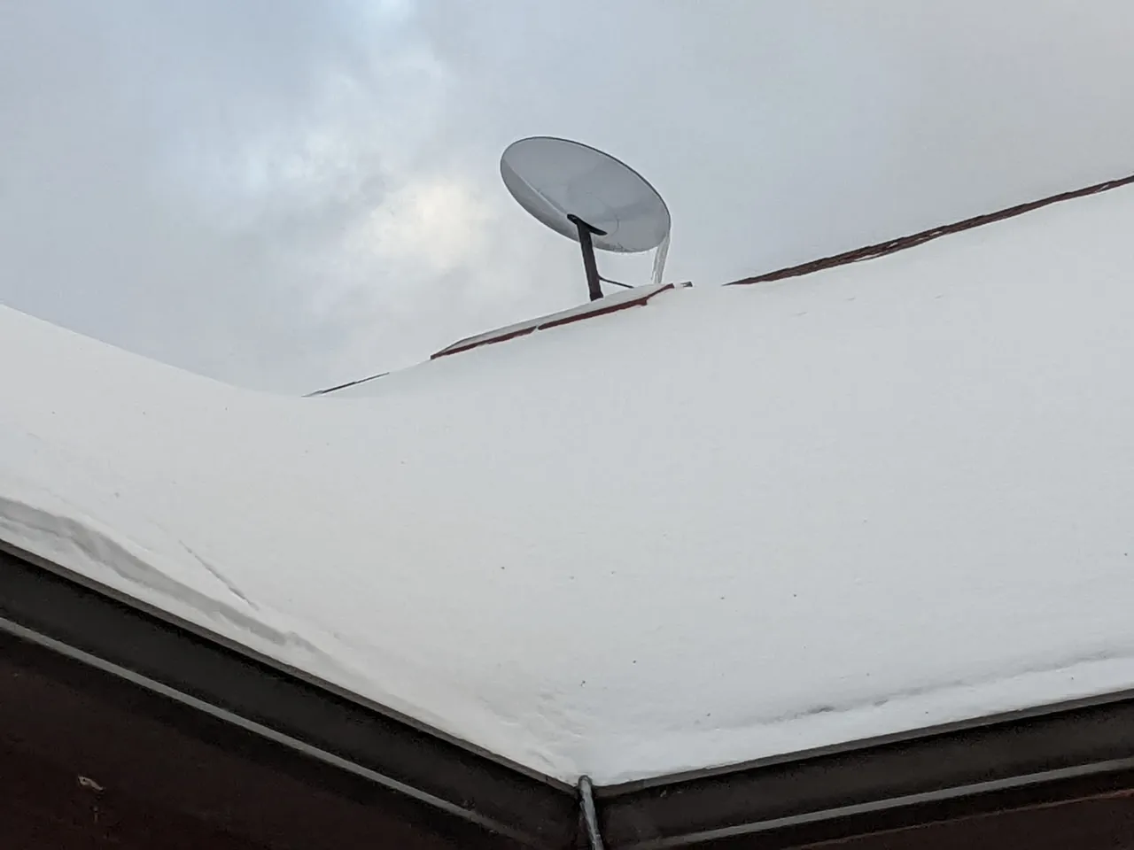 PXL_20220219_215111383.jpg
