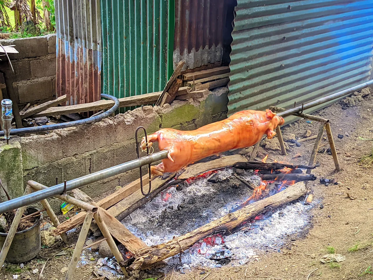 BY Camera King Gcam20240115_114157_🌱 iPhone 15 Pro Max 🌡️ - (Camera King Gcam).jpg