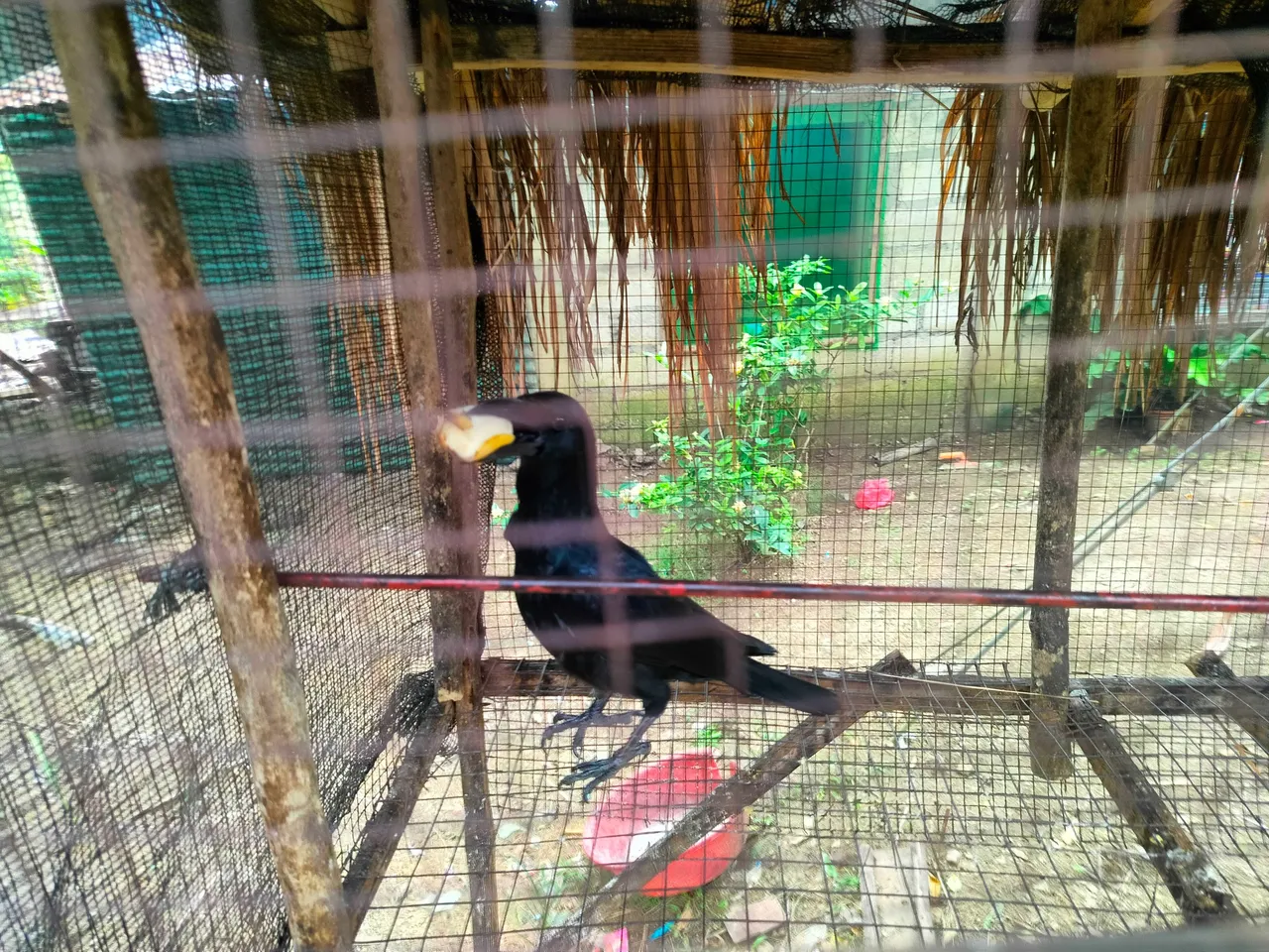 IMG20231206074056.jpg