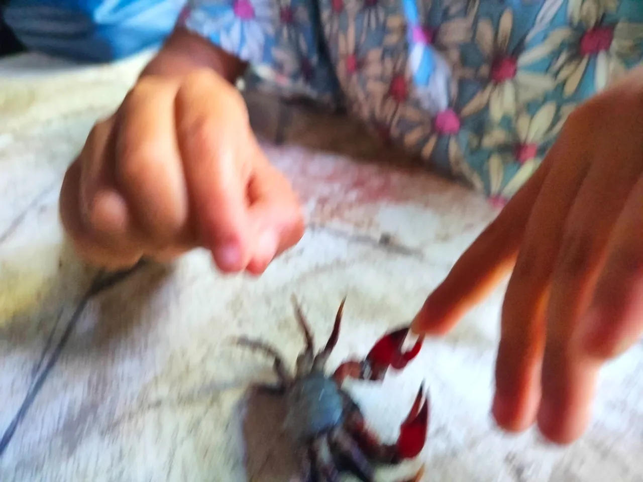 IMG20231203150859.jpg