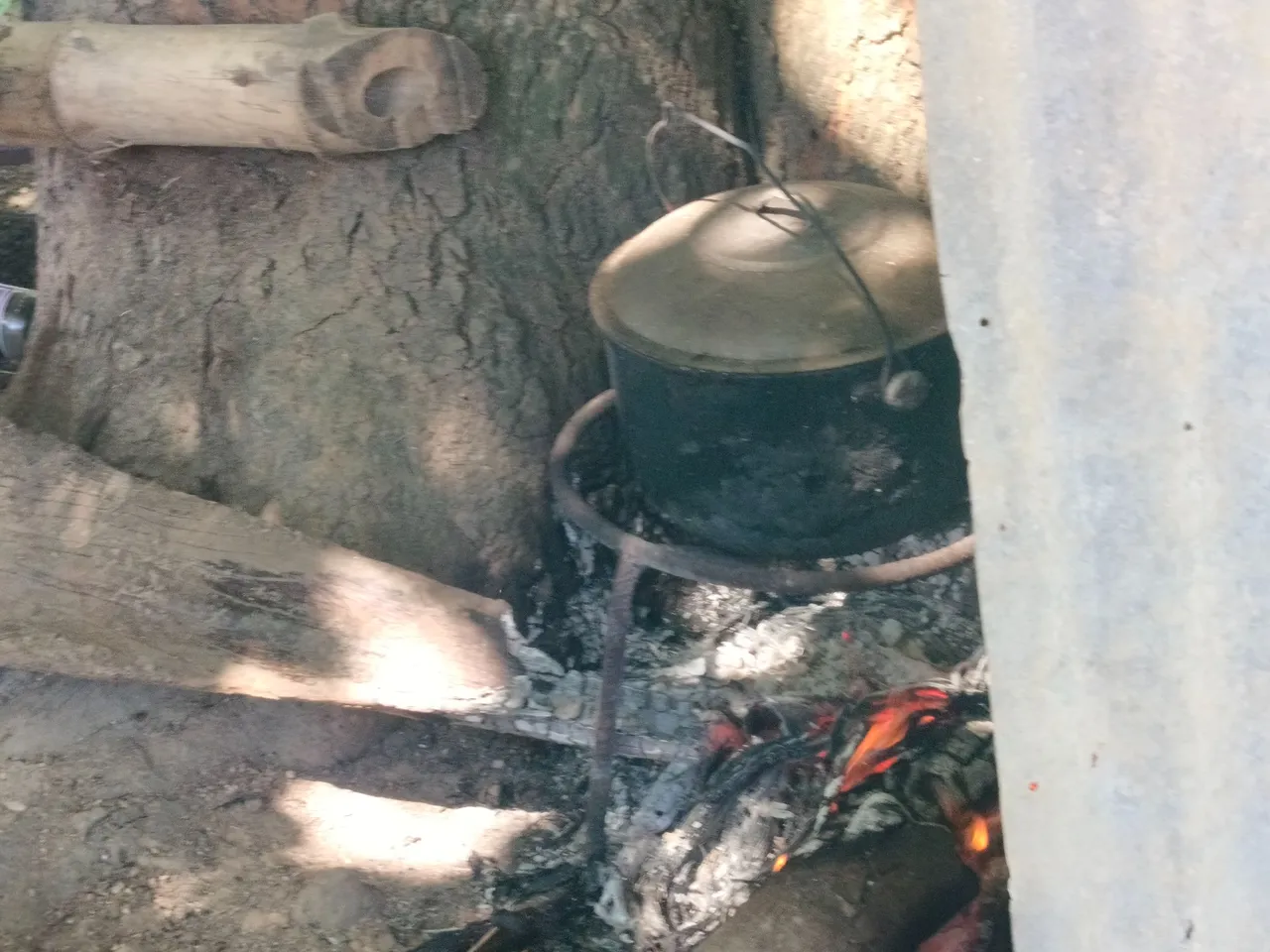 IMG20240303133056.jpg