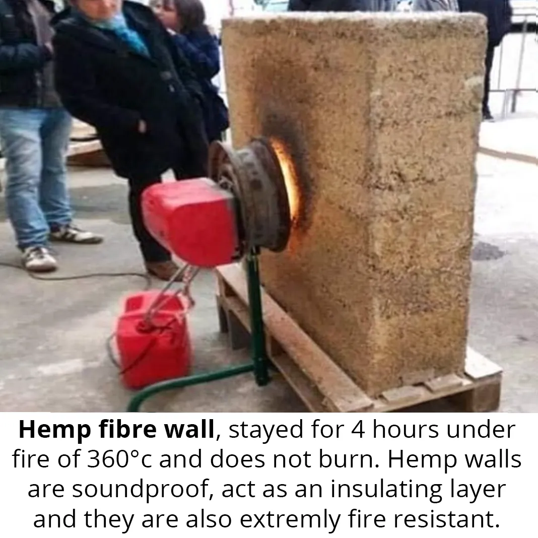 hemp fibre wall.png