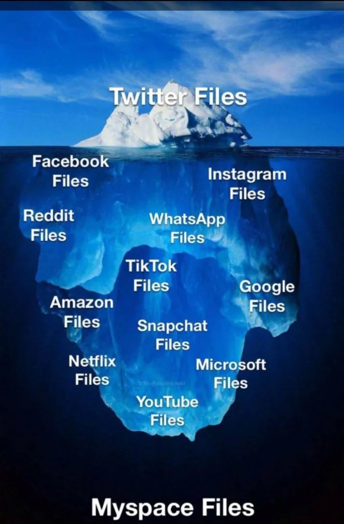 Twitter Files-NUqZmvdARkEbeoFbJOKHuf.jfif