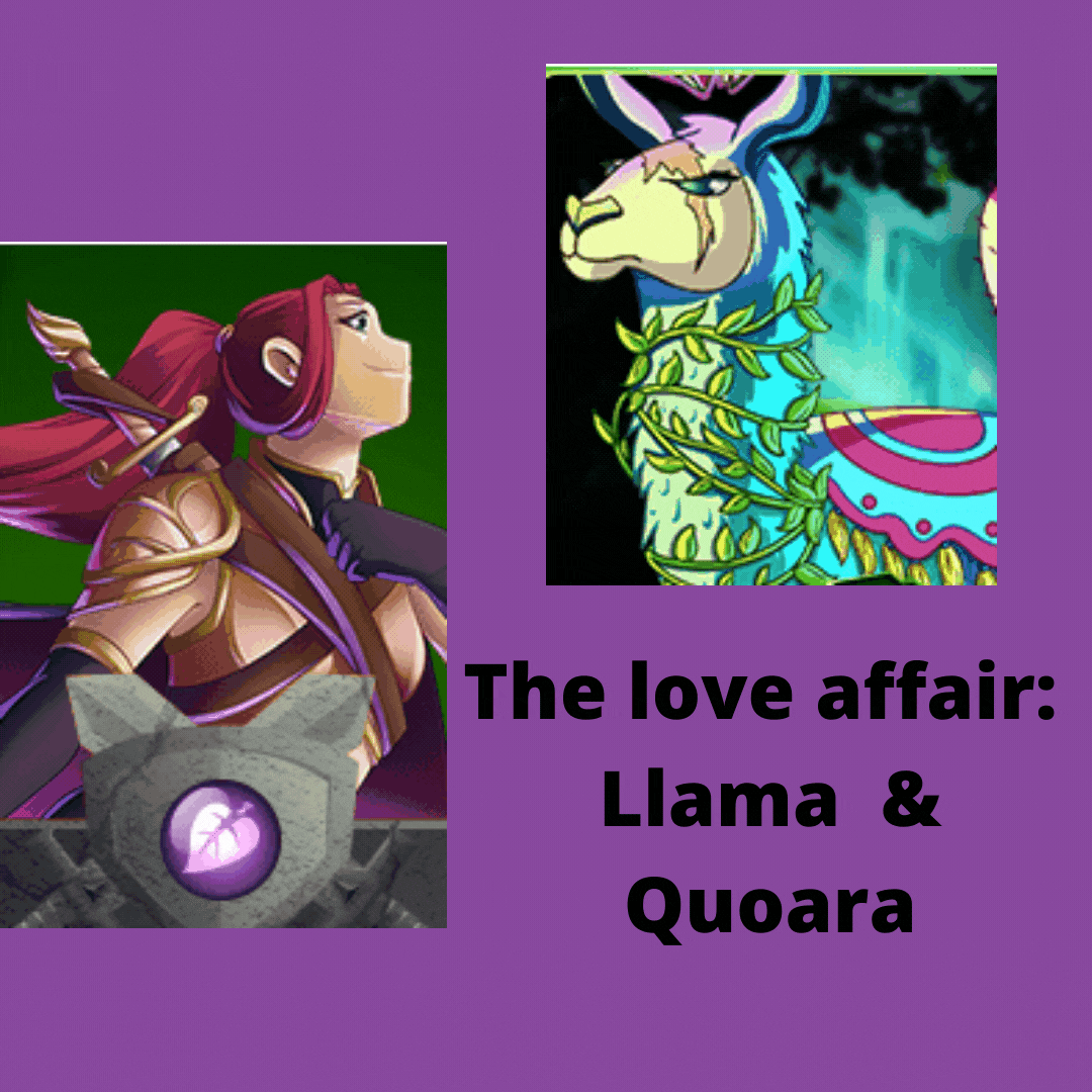 The love affair Llama and Quoara.gif