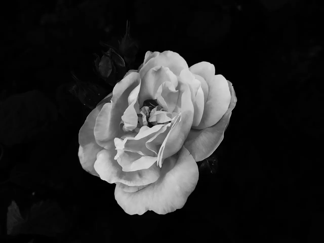 IMG_20230523_204737.jpg