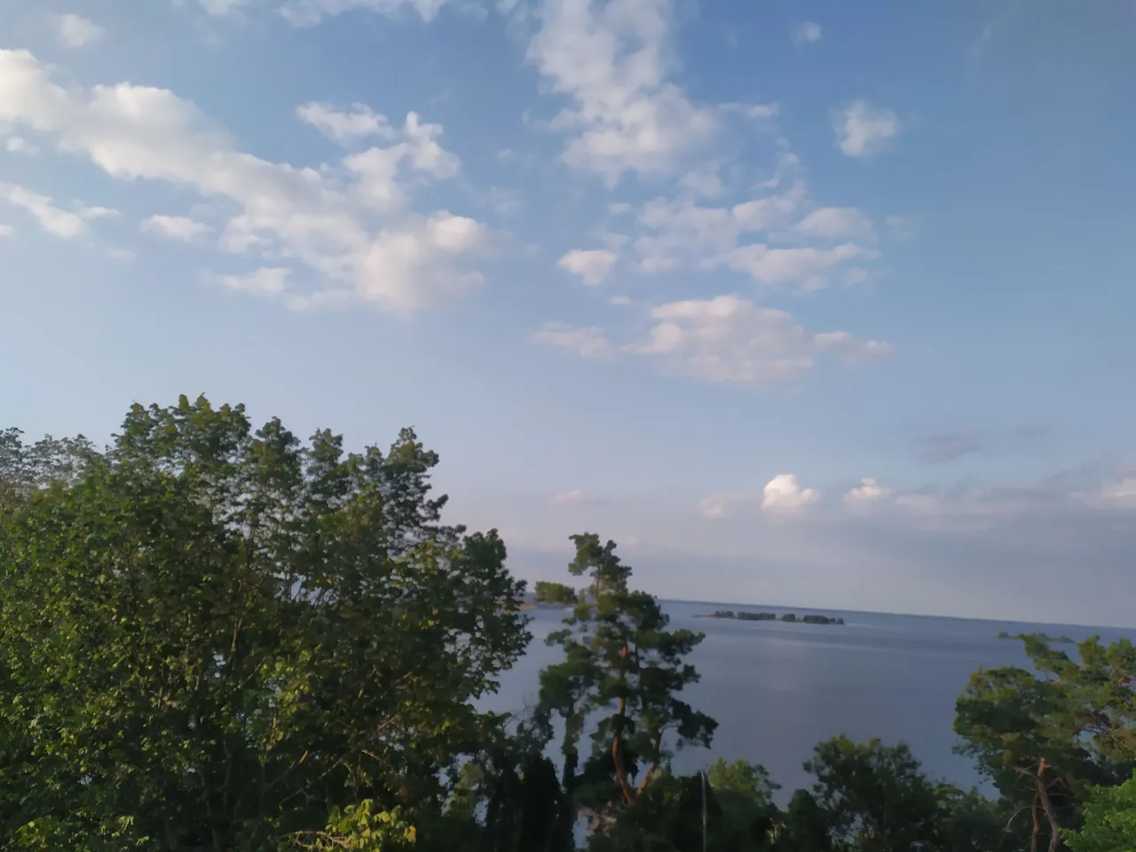 IMG_20230723_191528.jpg