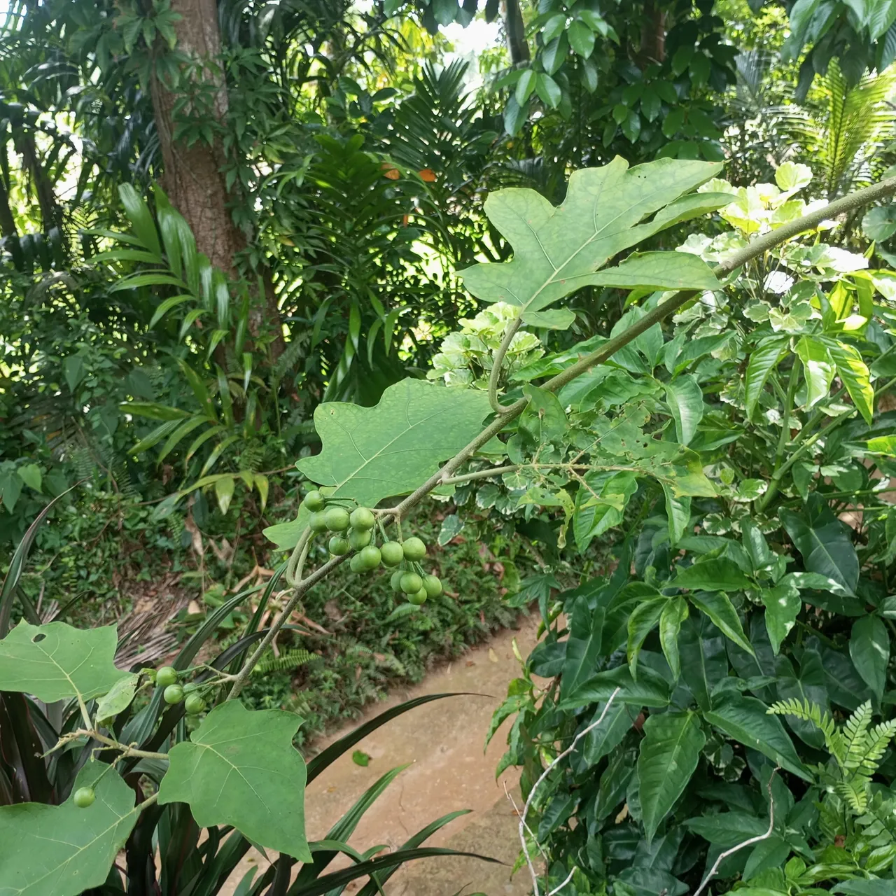1000087822.jpg