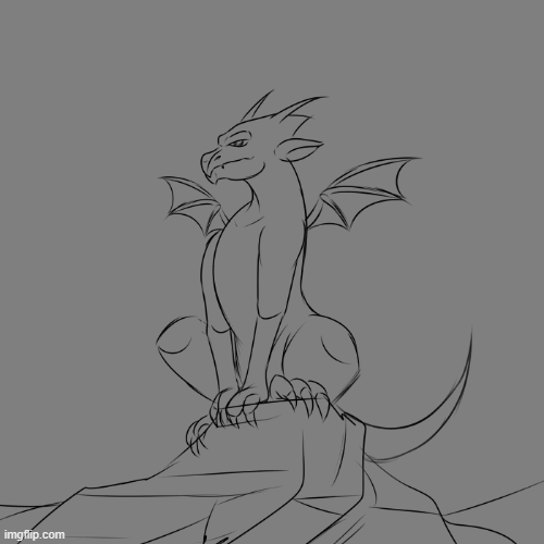 PROCESS.gif