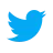 icons8-twitter-48.png