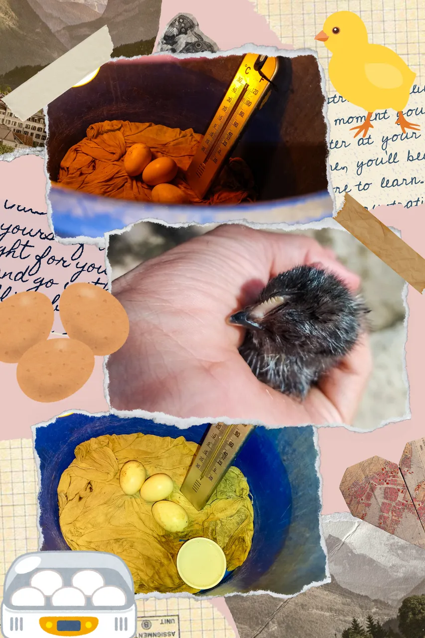 Cream and Brown Vintage Aesthetic Photo Collage_20250415_125759_0000.png
