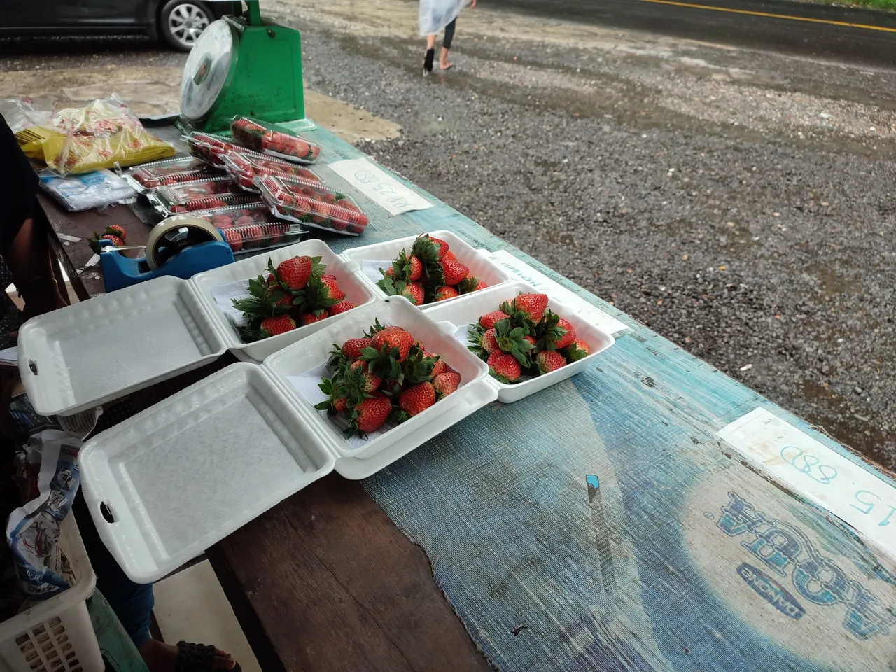 IMG_20211212_123435.jpg