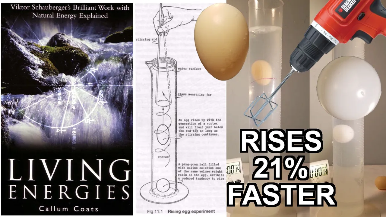 Viktor Schauberger Egg Drill.jpeg