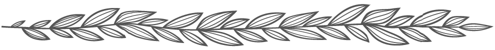 leaf 15.png