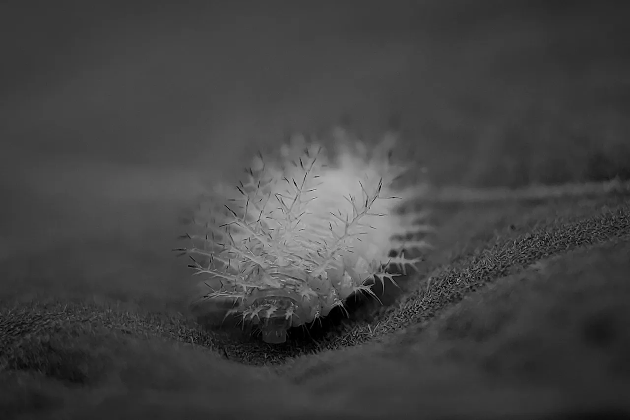 1651084343350.jpg
