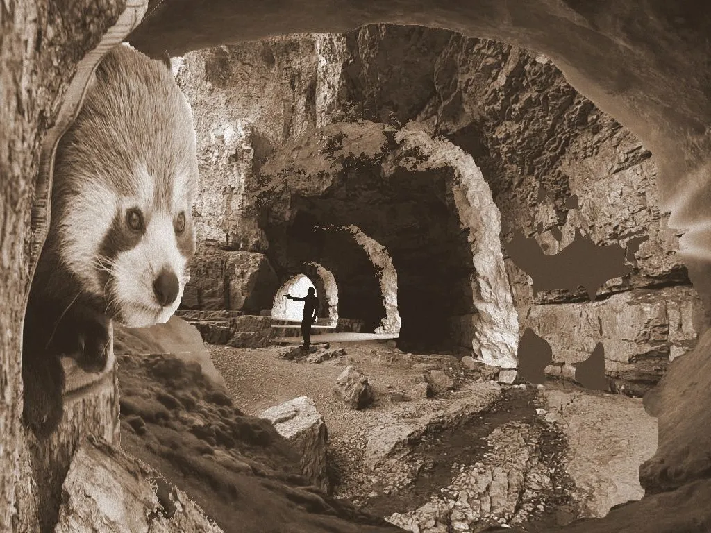 tunnel bearbeitet.jpg