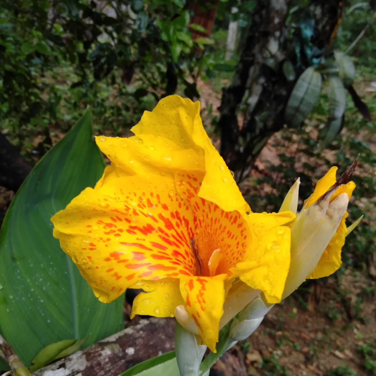 IMG20191030161912.jpg