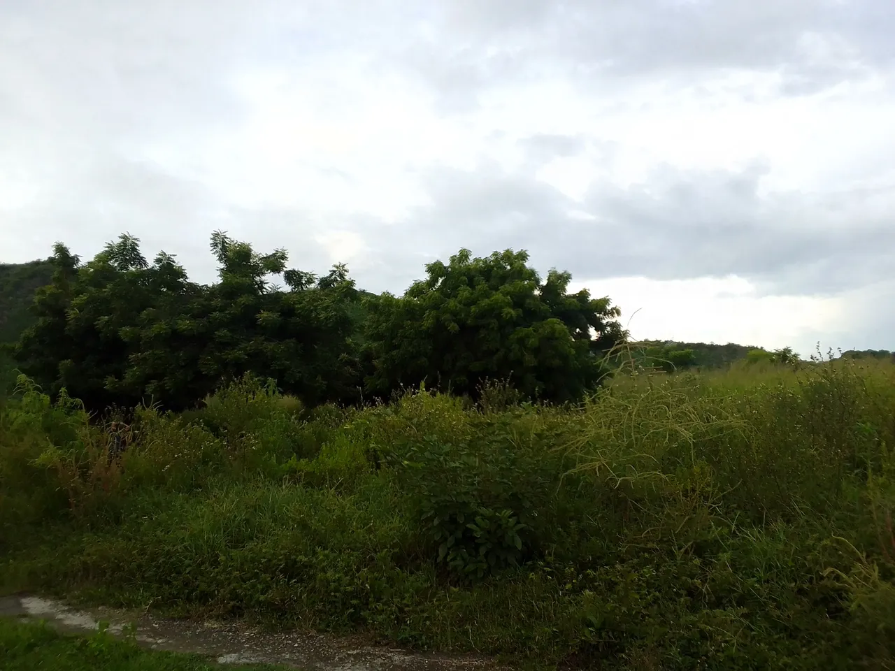 IMG_20230805_182125_275.jpg