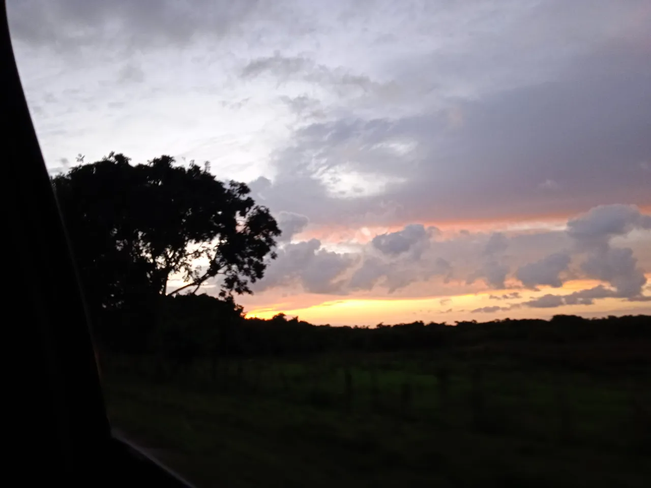 IMG_20230104_182023_1.jpg