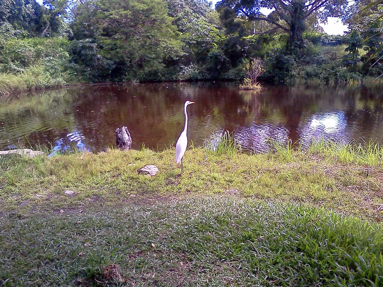 IMG011.jpg
