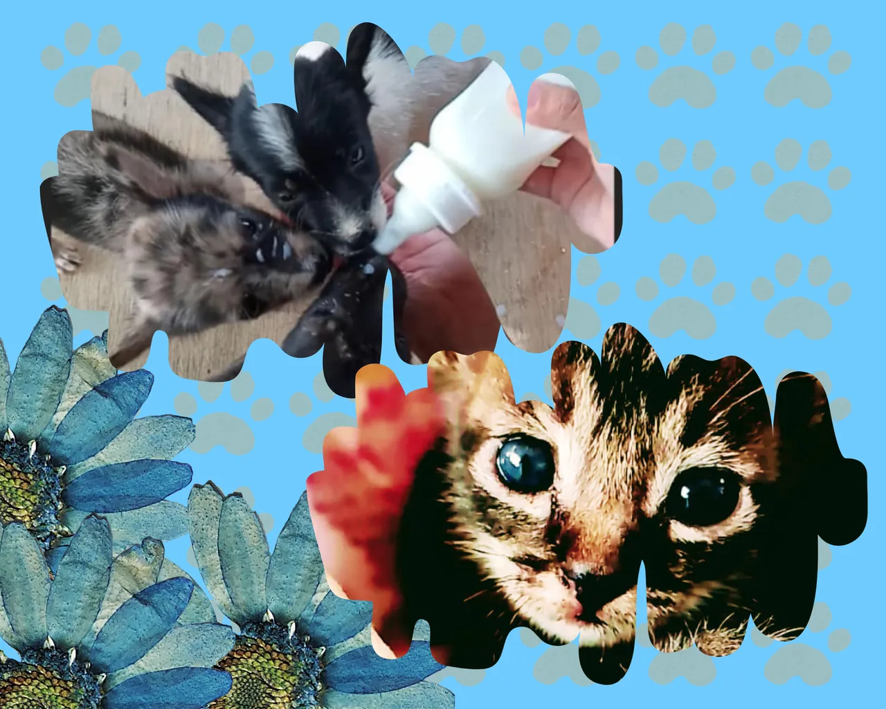6.png