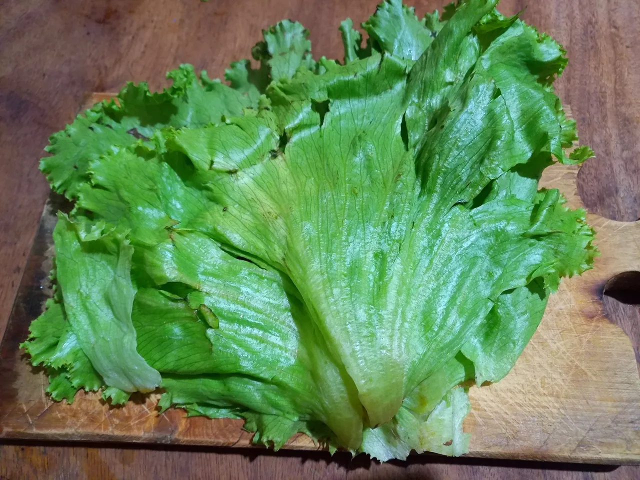 20231001_174242.jpg