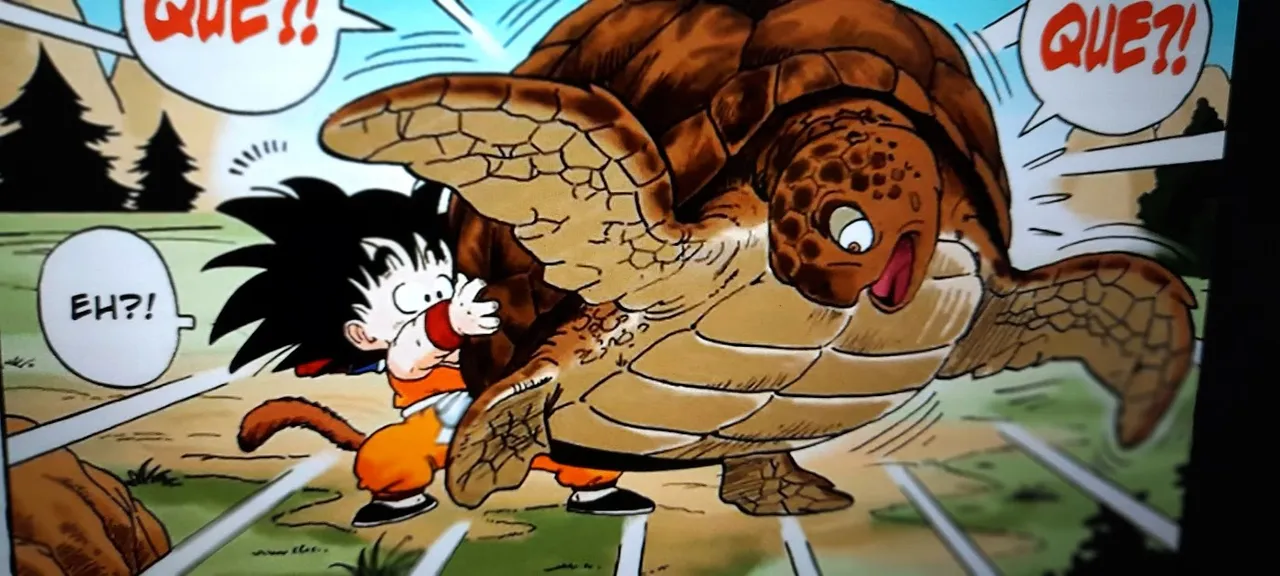 20250331_192706 GOKU CON LA TORTUGA.jpg