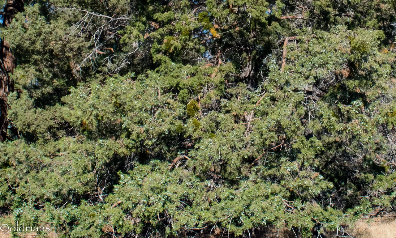 rnp-4.jpg