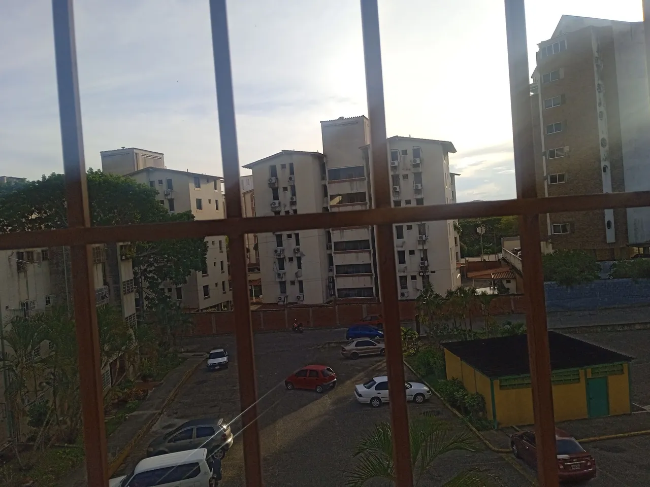 1716505620936.jpg