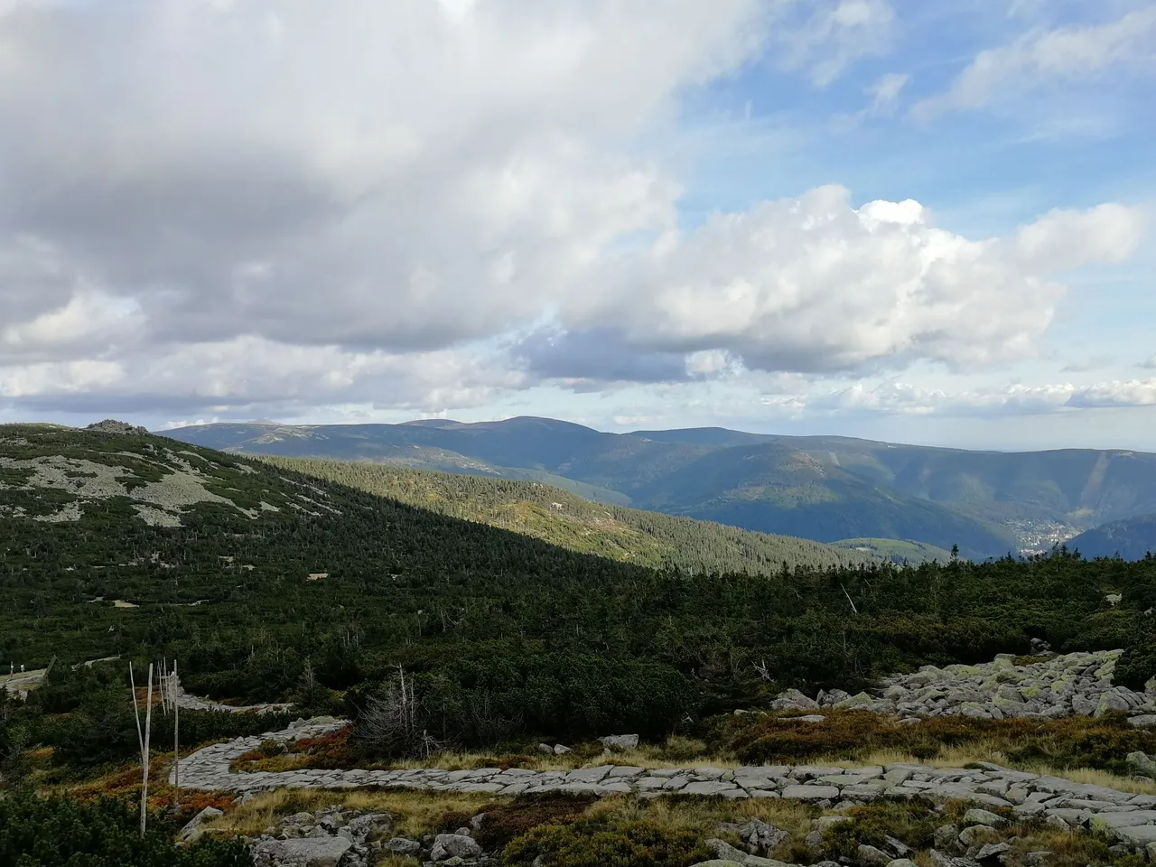 IMG_20190919_165518.jpg