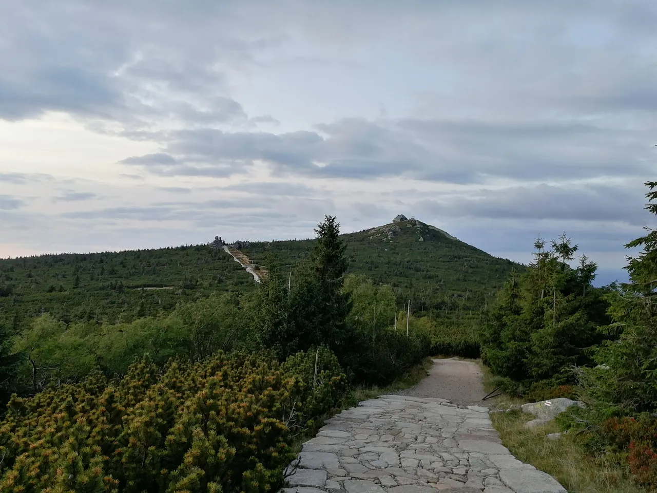 IMG_20190919_184649.jpg