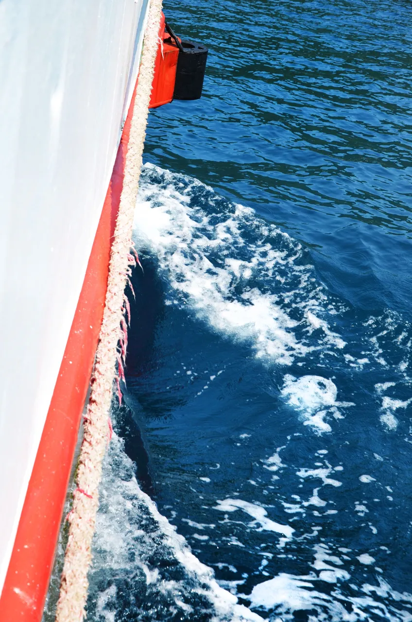 DSC_1031.jpg