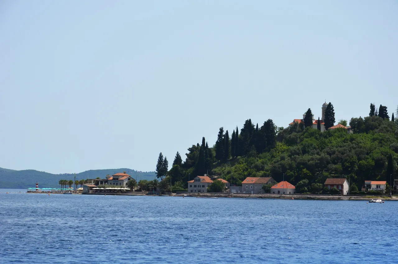 DSC_1025.jpg