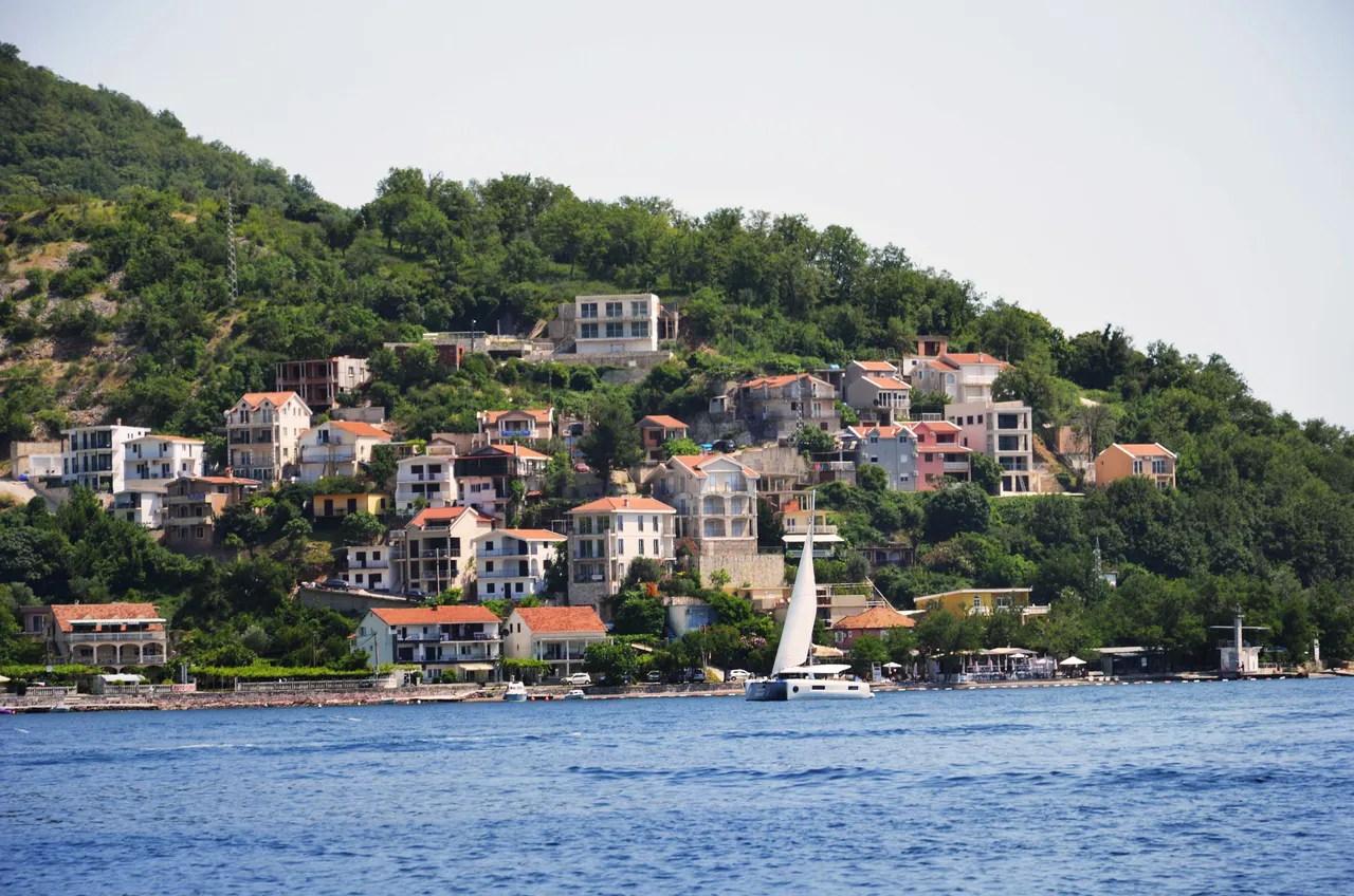 DSC_1036.jpg
