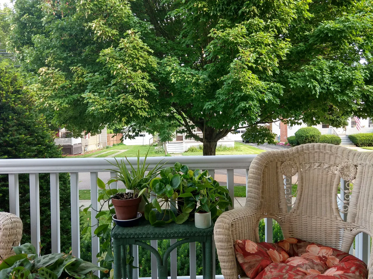 IMG_20230802_183348607_HDR.jpg