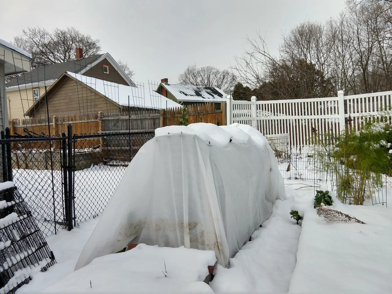hoop house december.jpg