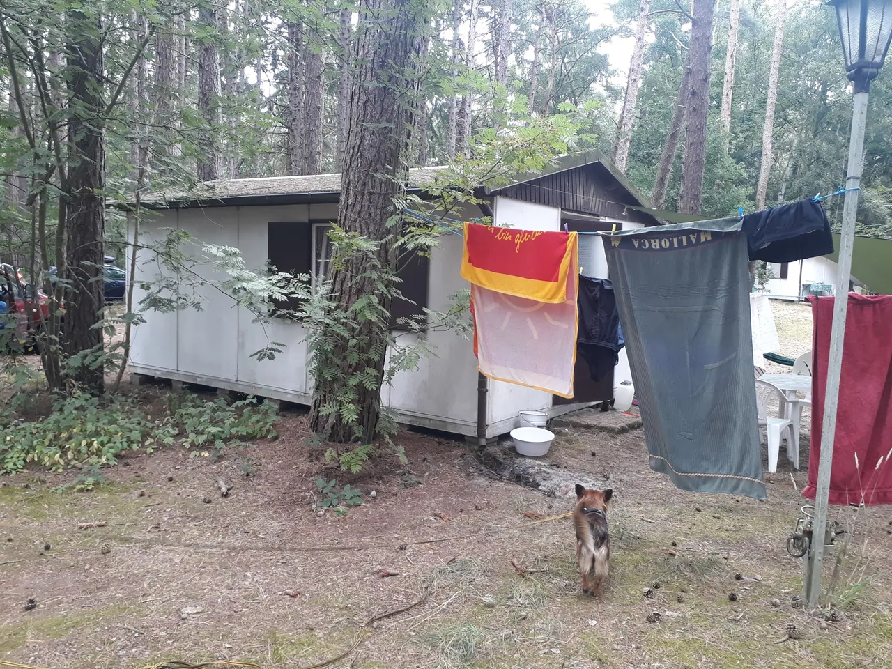 20210731_125921.jpg