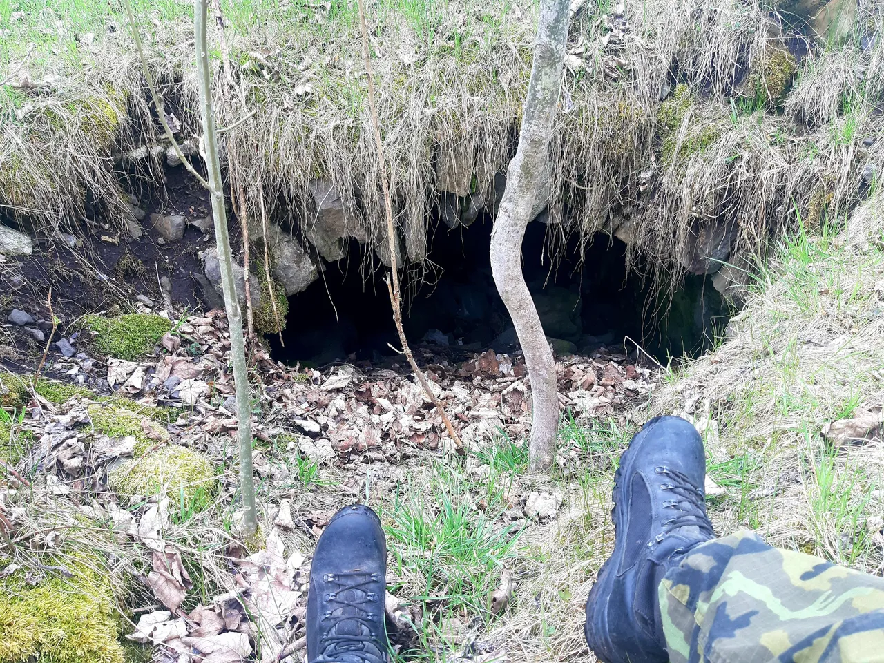 20210507_130314.jpg