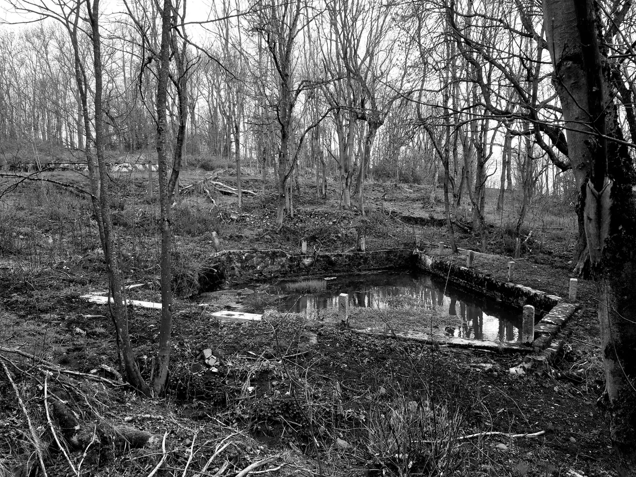20210507_130357.jpg