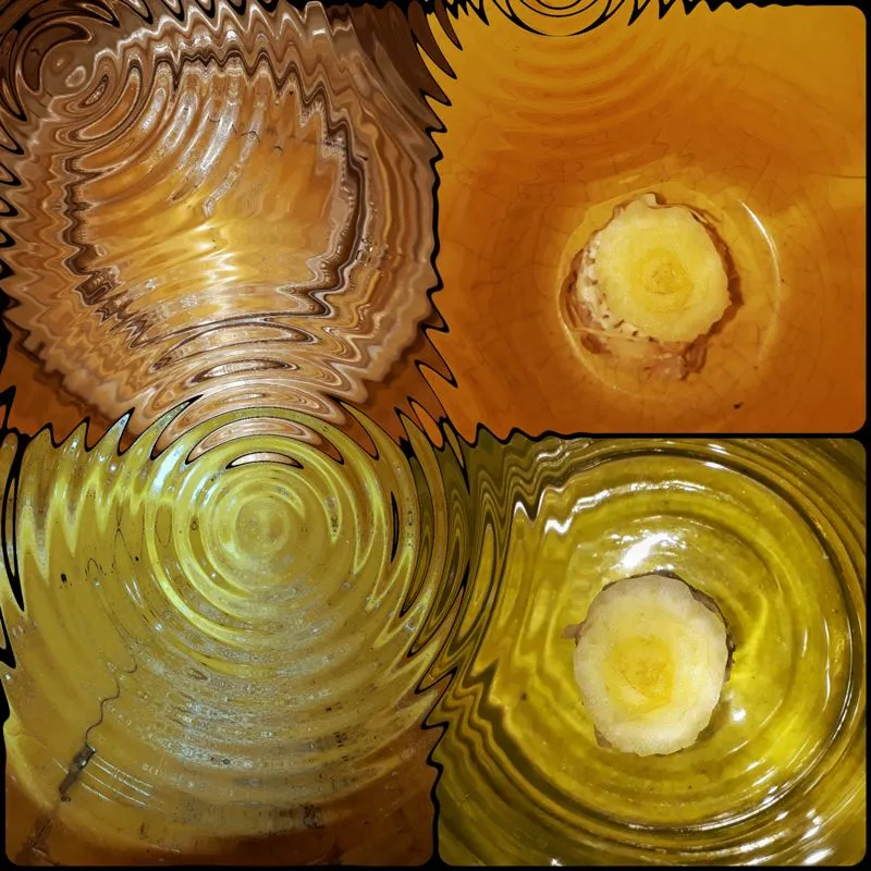 1000014123_mirror2.jpg