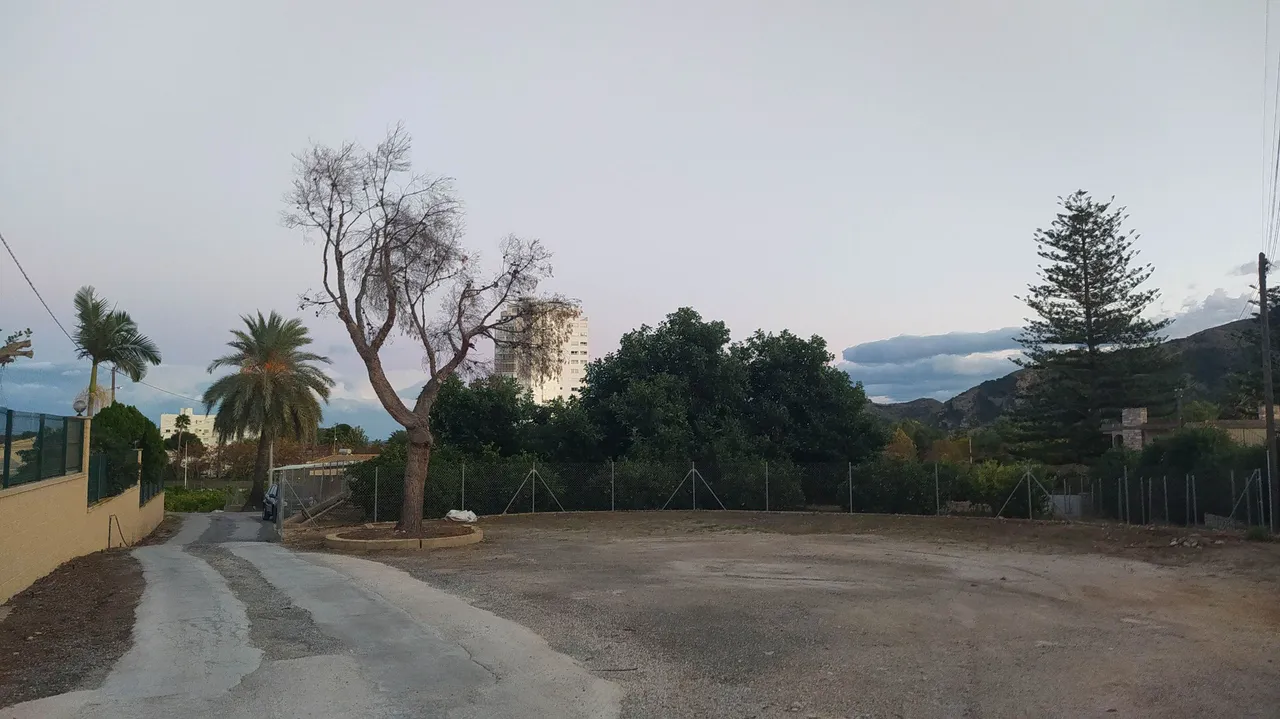 04.jpg