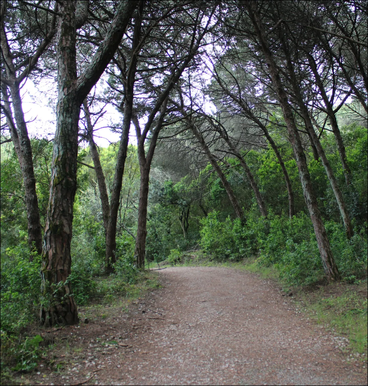 cuarto8.jpg