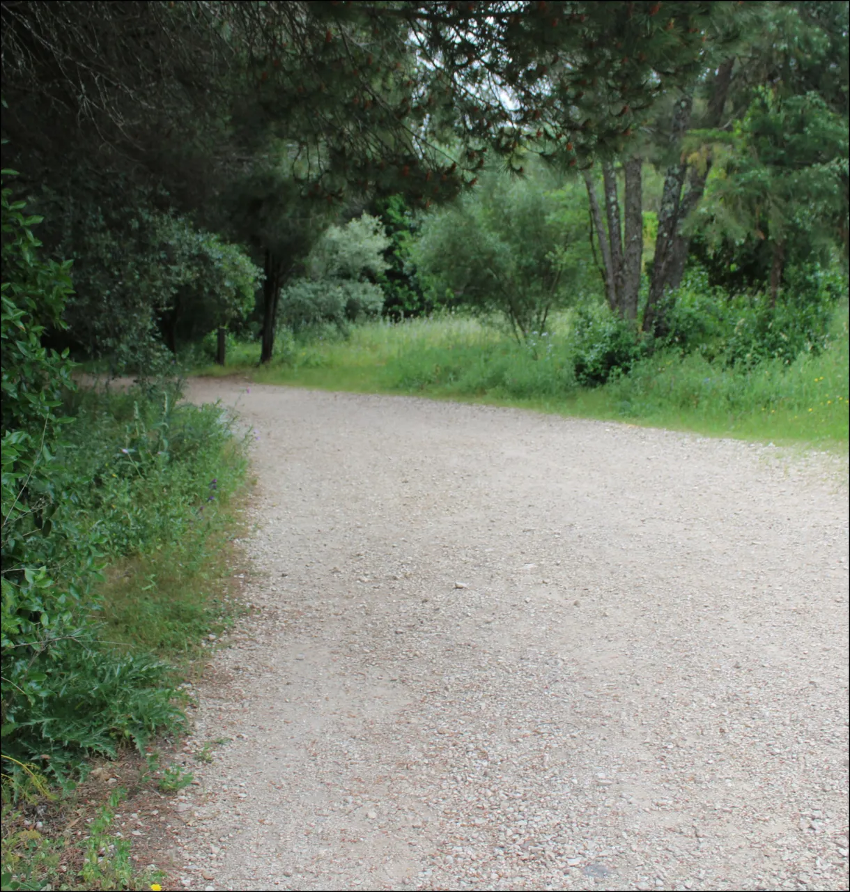 cuarto1.jpg