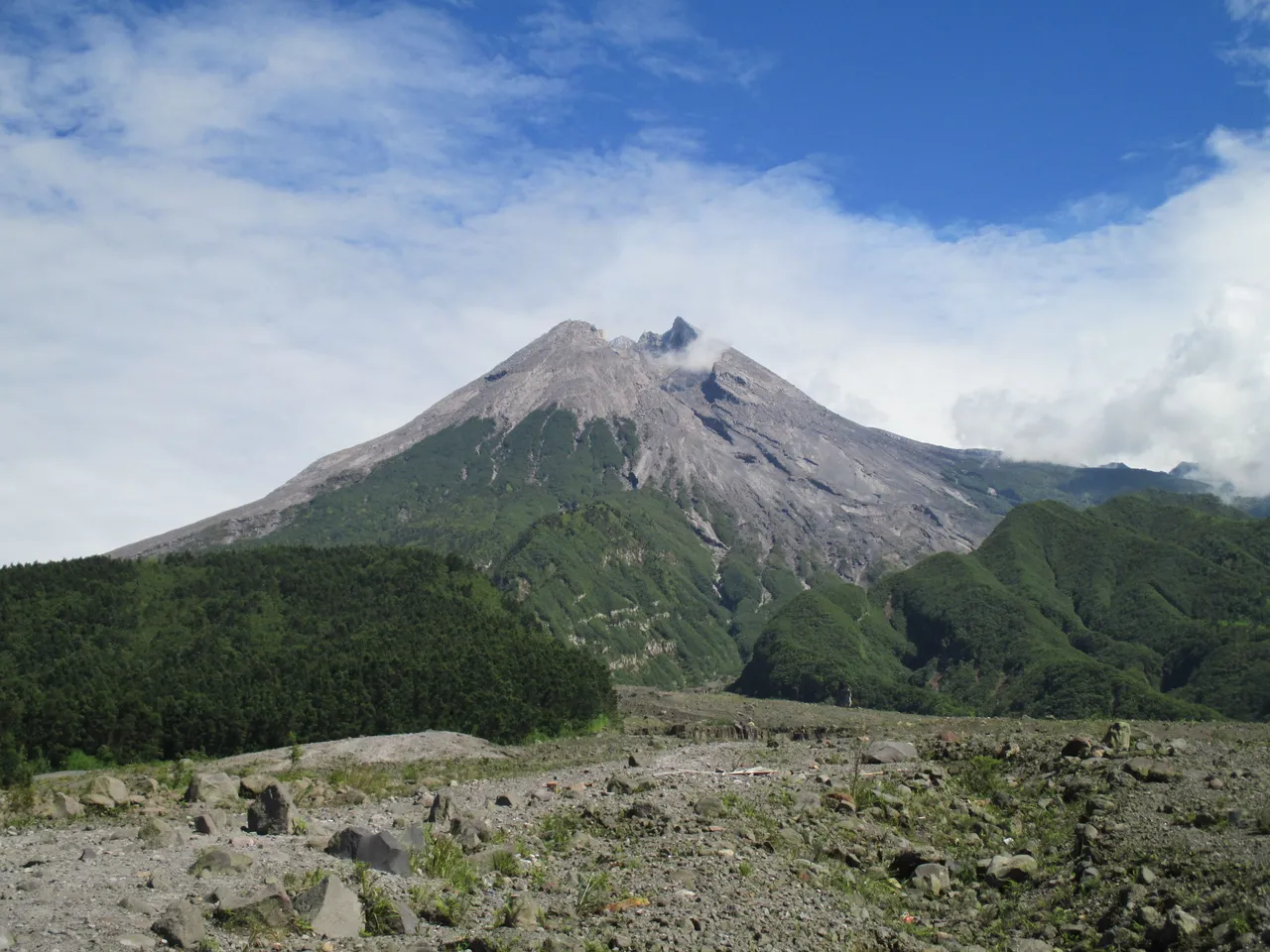 IMG_0496.JPG